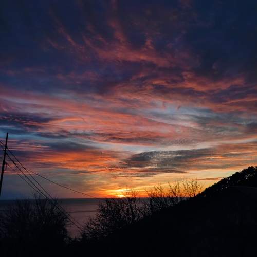 Photo #13737352