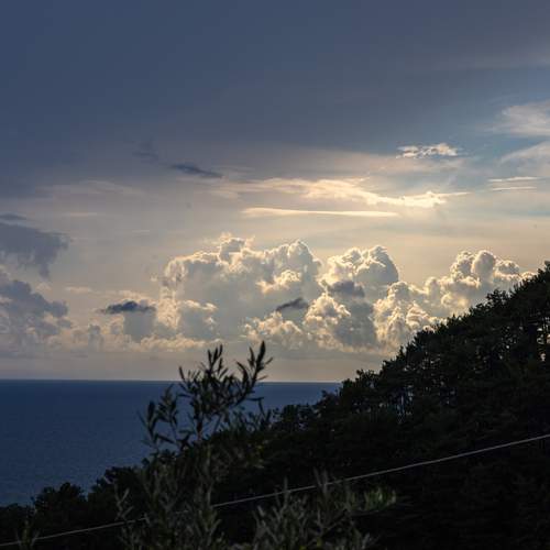 Photo #13737353