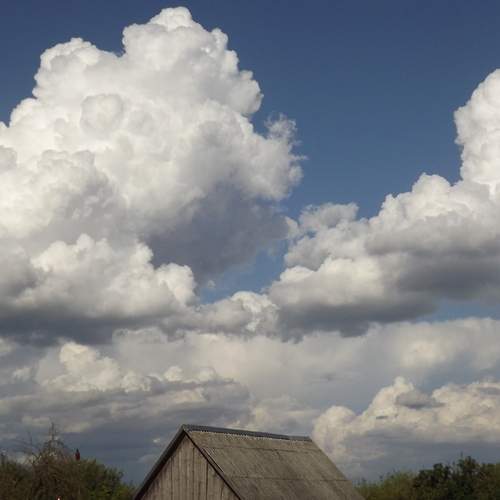 Photo #13737360