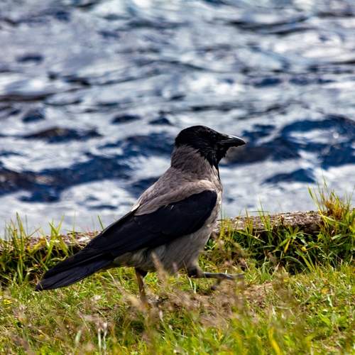 Photo #13737371