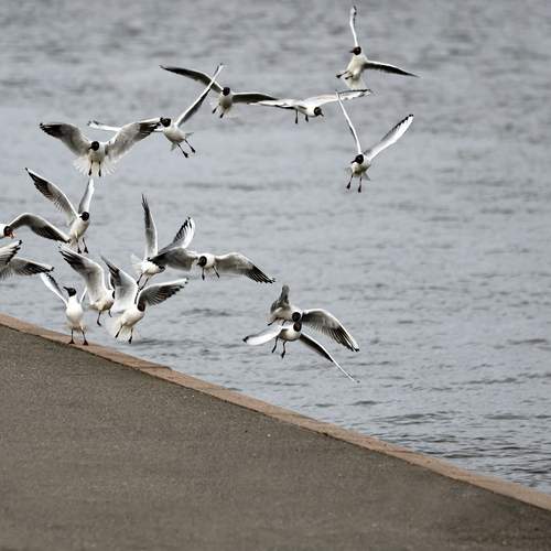 Photo #13737390