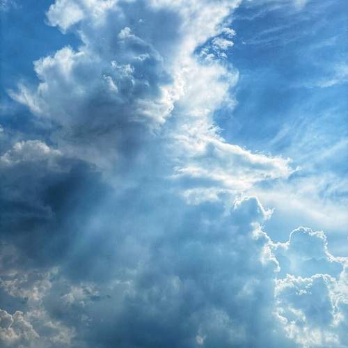 Photo #13737409