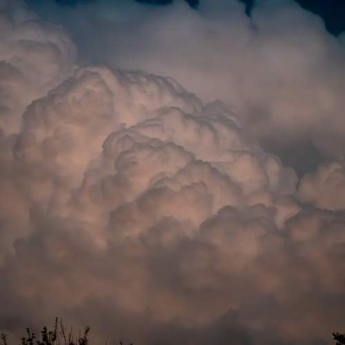 Photo #13737436