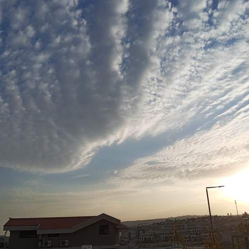 Photo #13737447