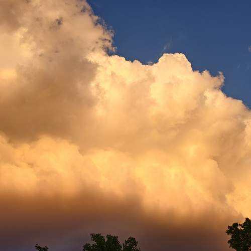 Photo #13737449