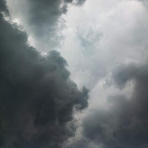 Photo #13737450