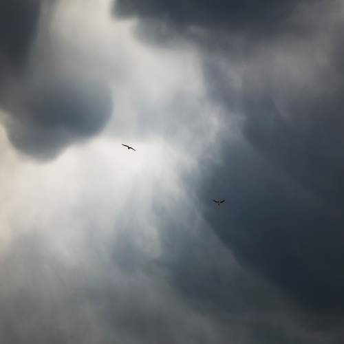 Photo #13737451