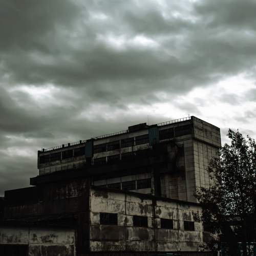 Photo #13737456