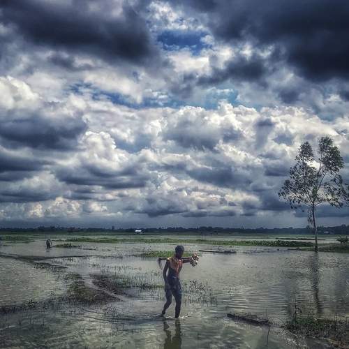 Photo #13737503