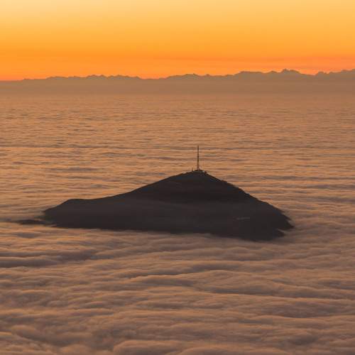 Photo #13737527