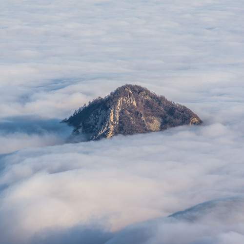 Photo #13737533