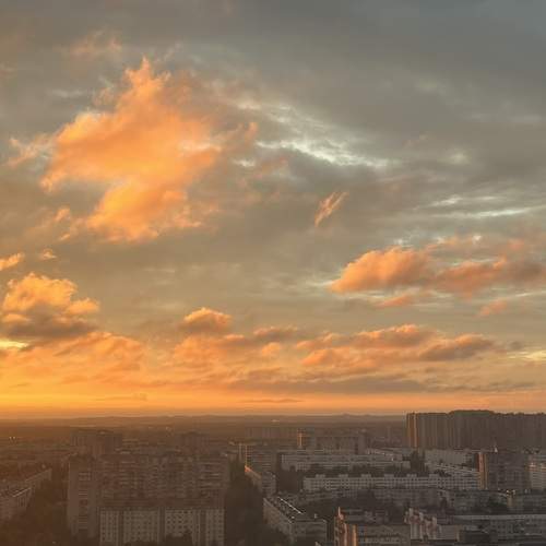 Photo #13737534
