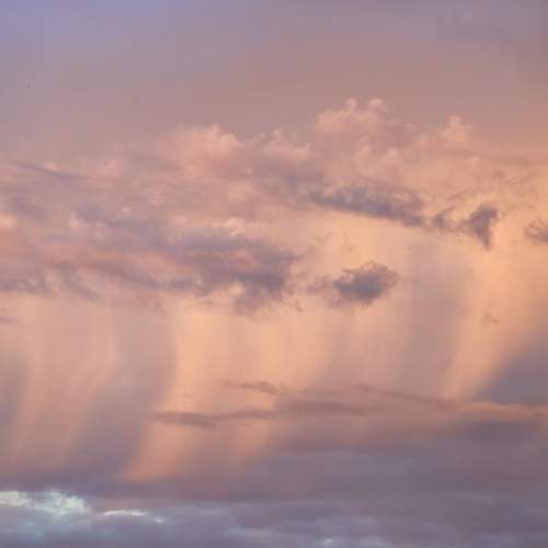Photo #13737535
