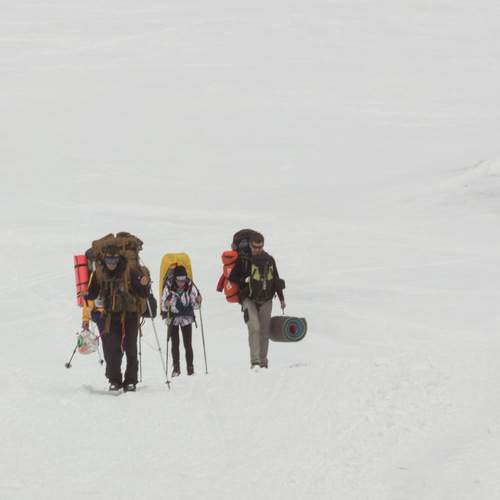 Photo #13737540