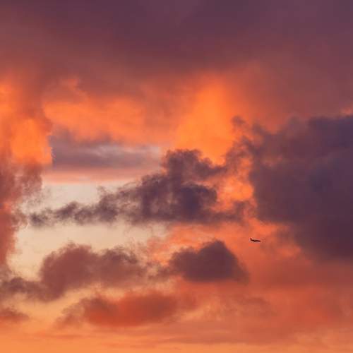 Photo #13737550