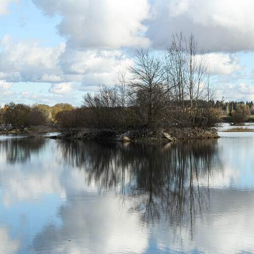 Photo #13737556