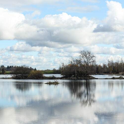 Photo #13737557