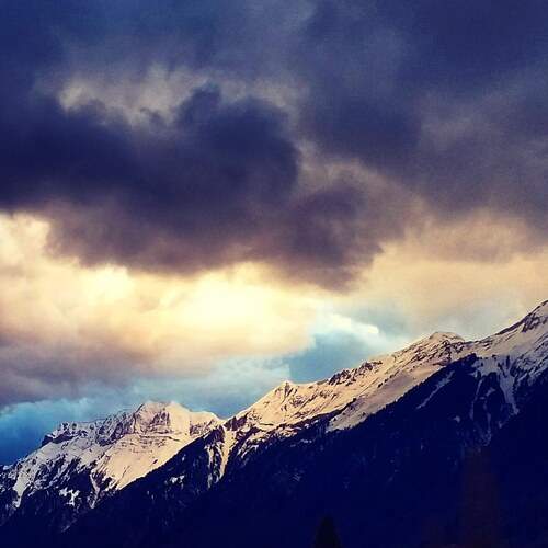 Photo #13737579