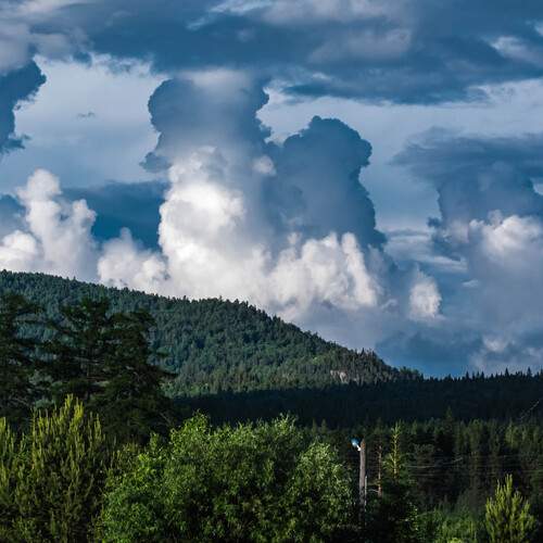 Photo #13737584