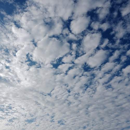 Photo #13737589