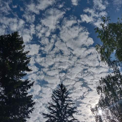 Photo #13737592