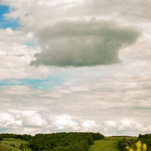 Photo #13737594