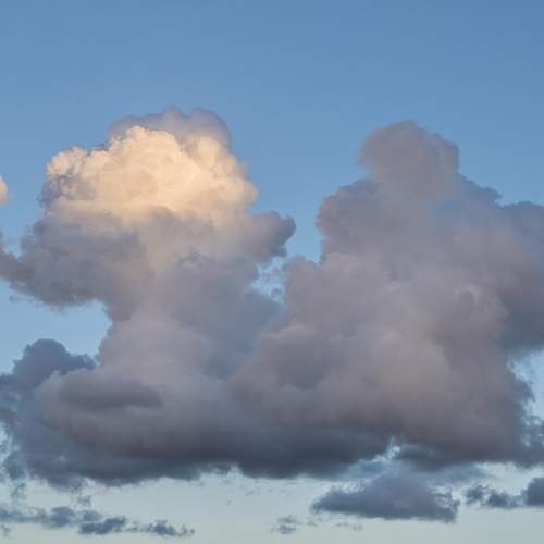Photo #13737606