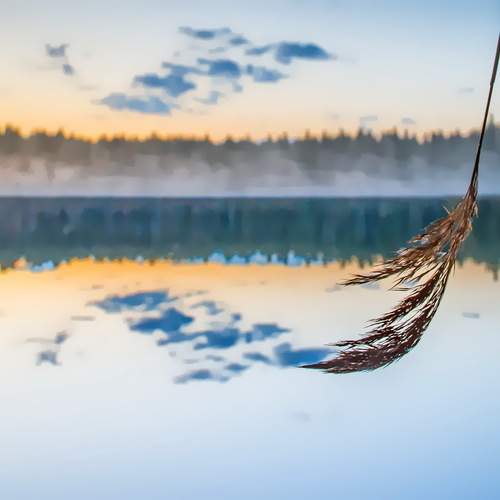 Photo #13737607