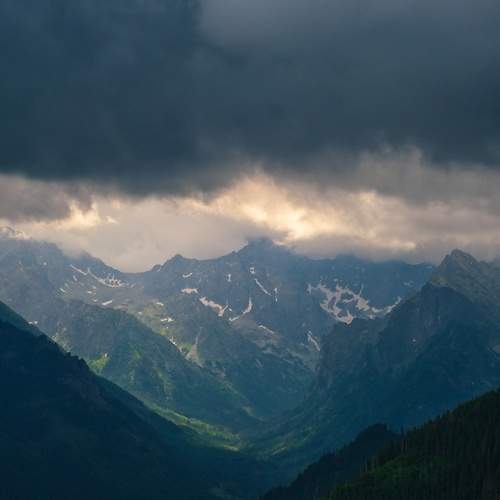 Photo #13737636