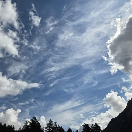 Photo #13737647