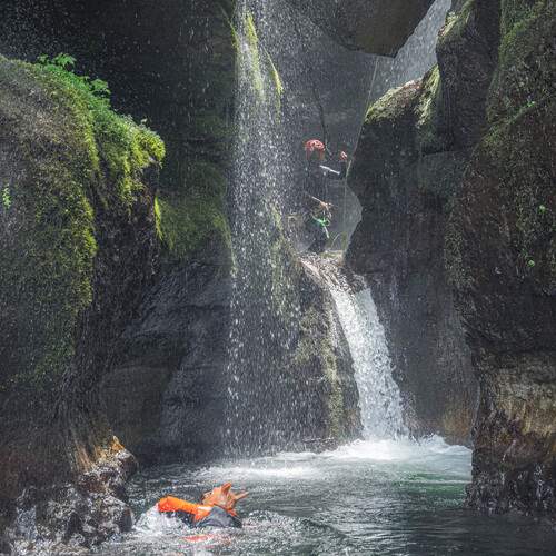Photo #13737649