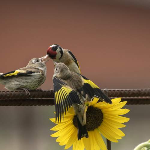 Photo #13737671