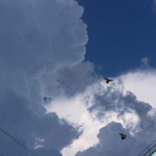 Photo #13737707