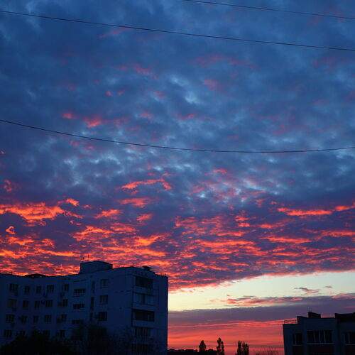 Photo #13737710
