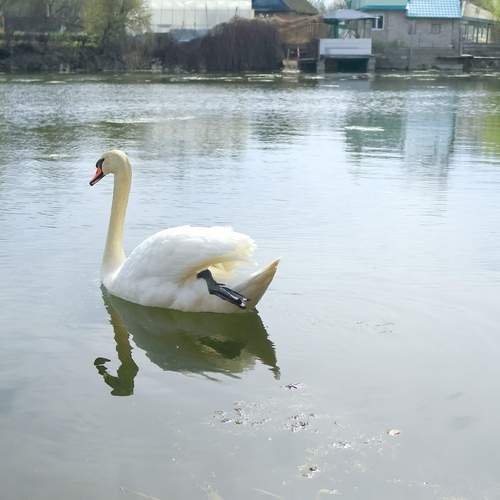 Photo #13737730