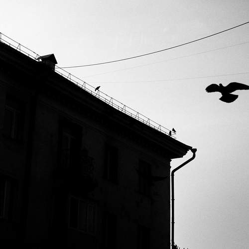 Photo #13737741