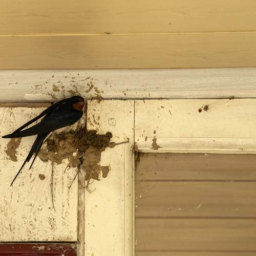 Photo #13737746