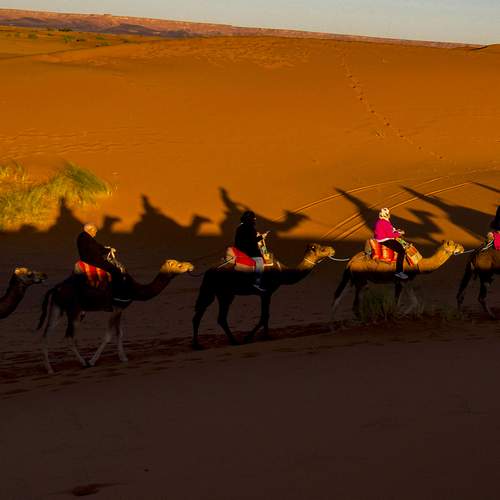 Nomadic Shadows