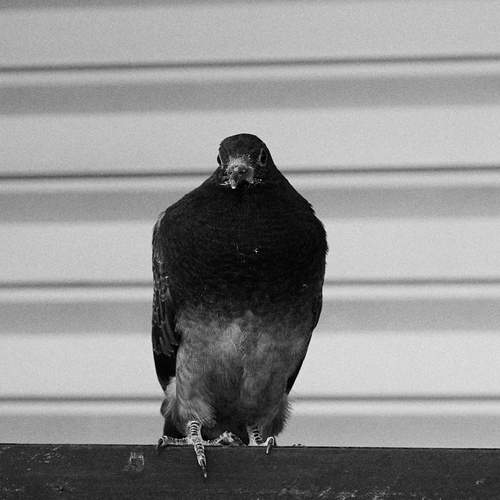 Photo #13737764