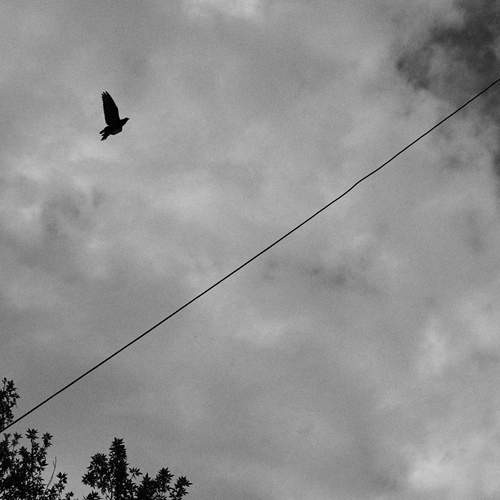 Photo #13737765