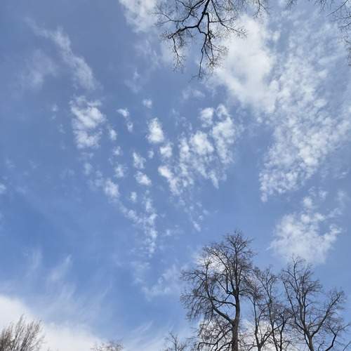 Photo #13737774