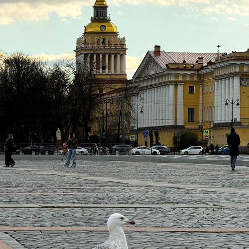 Фотография #13737781