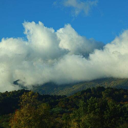 Photo #13737799
