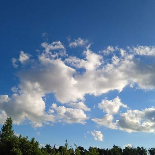 Photo #13737804