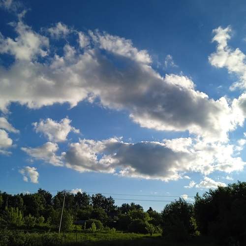 Photo #13737810
