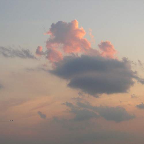 Photo #13737821