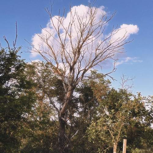Photo #13737824