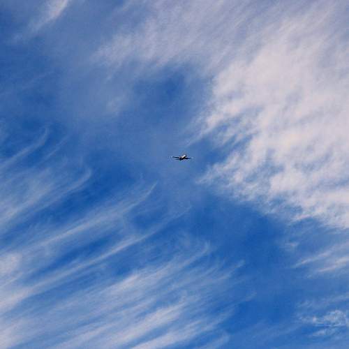 Photo #13737831