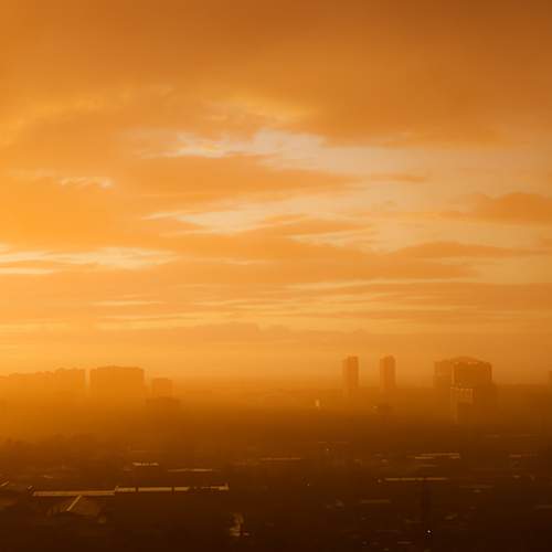 Photo #13737839