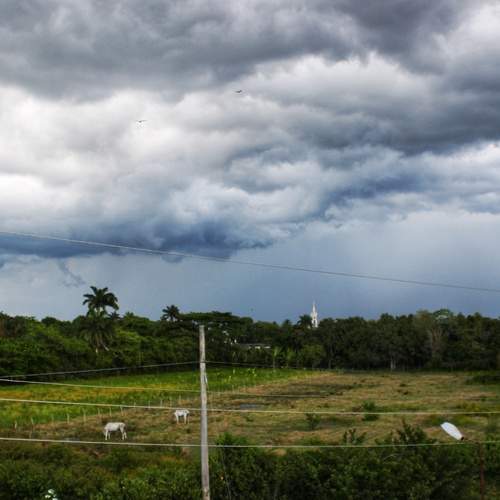 Photo #13737860